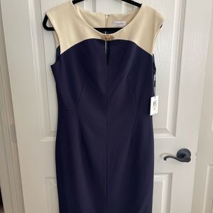 Cream and Navy Calvin Klein Dress